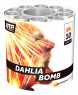 Dahlia bomb