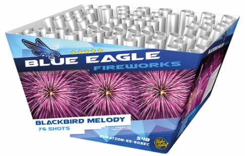 Blackbird Melody